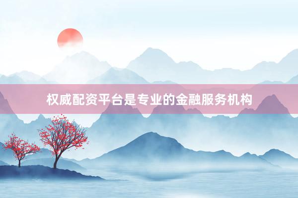 权威配资平台是专业的金融服务机构