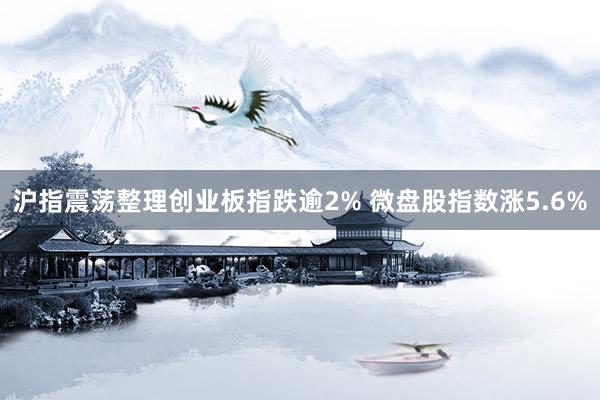 沪指震荡整理创业板指跌逾2% 微盘股指数涨5.6%