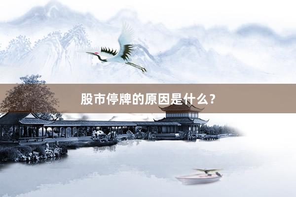 股市停牌的原因是什么？