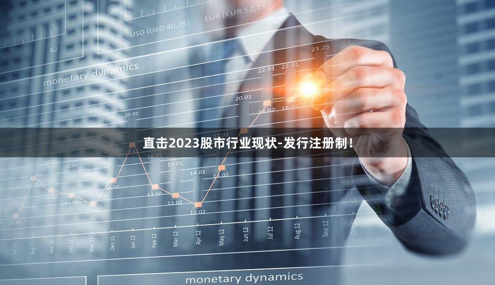 直击2023股市行业现状-发行注册制！