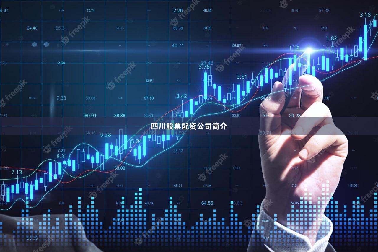四川股票配资公司简介