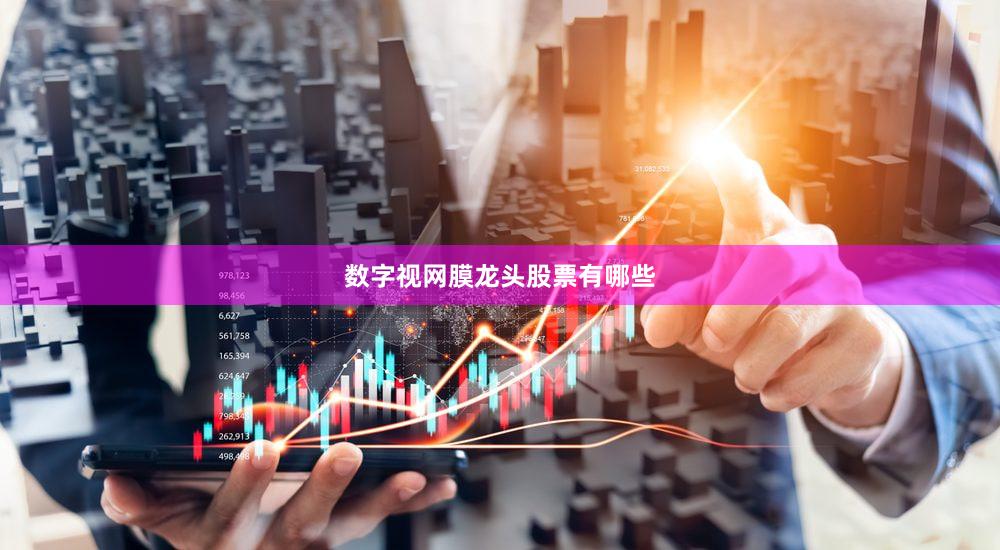 数字视网膜龙头股票有哪些