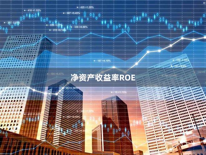 净资产收益率ROE