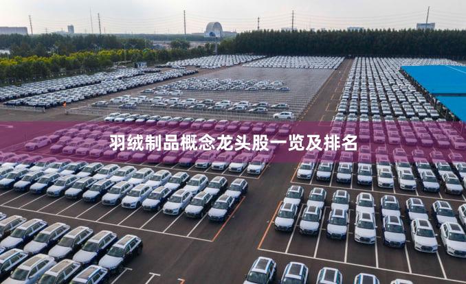 羽绒制品概念龙头股一览及排名