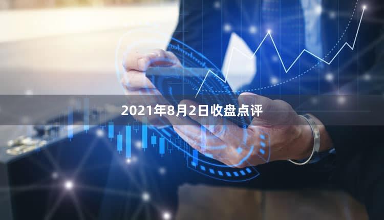 2021年8月2日收盘点评