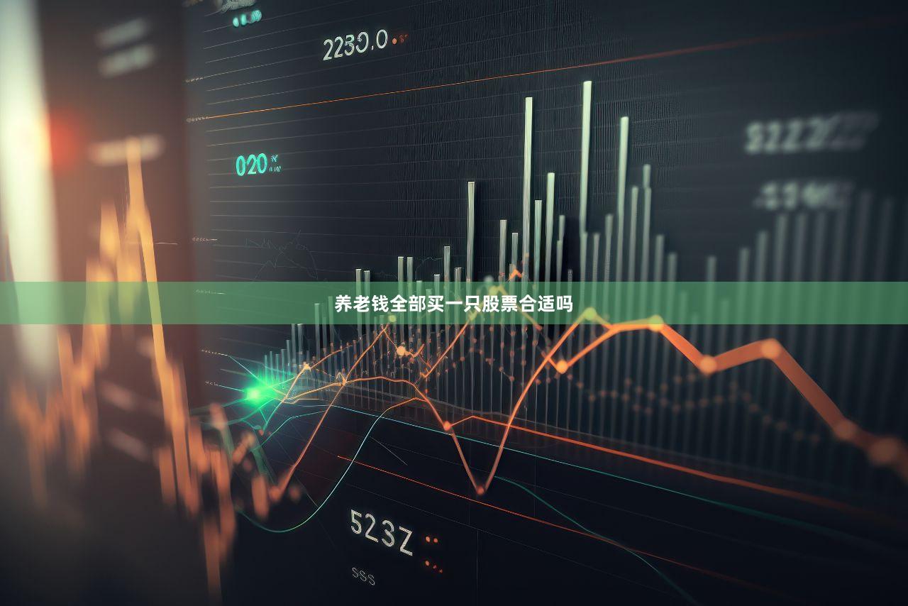 养老钱全部买一只股票合适吗