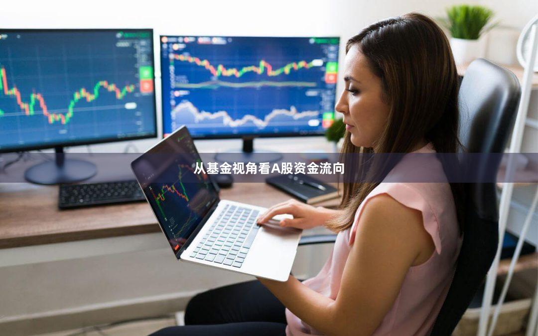 从基金视角看A股资金流向