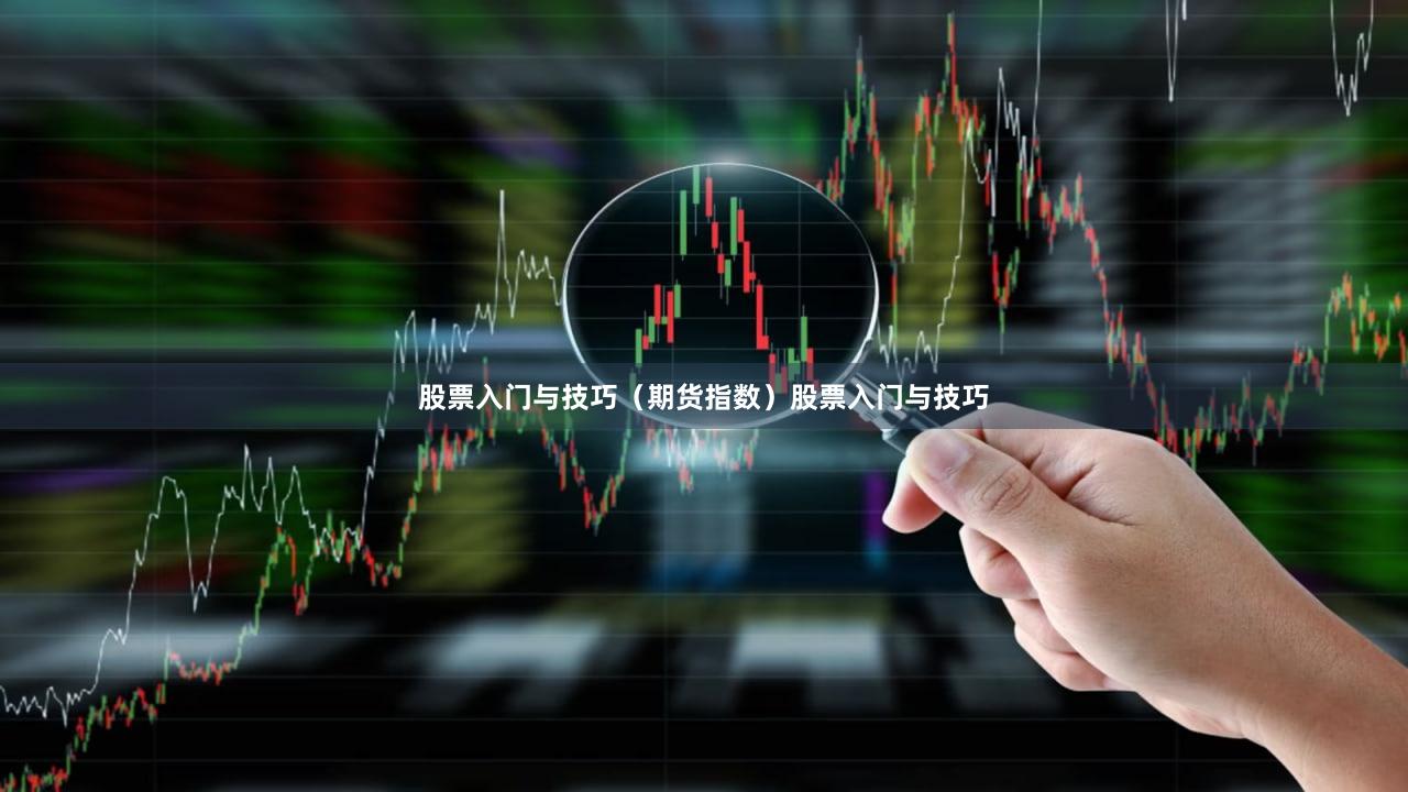股票入门与技巧（期货指数）股票入门与技巧