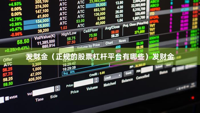 发财金（正规的股票杠杆平台有哪些）发财金