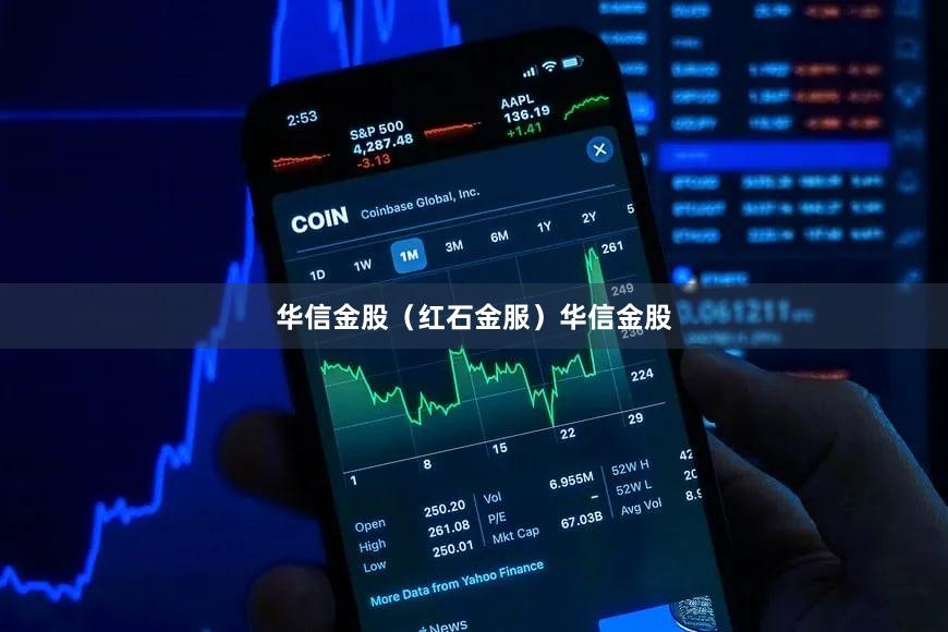 华信金股（红石金服）华信金股
