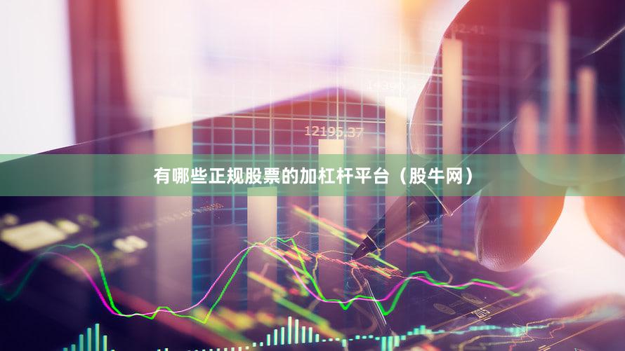 有哪些正规股票的加杠杆平台(股牛网)