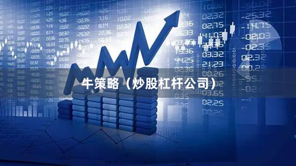 牛策略（炒股杠杆公司）