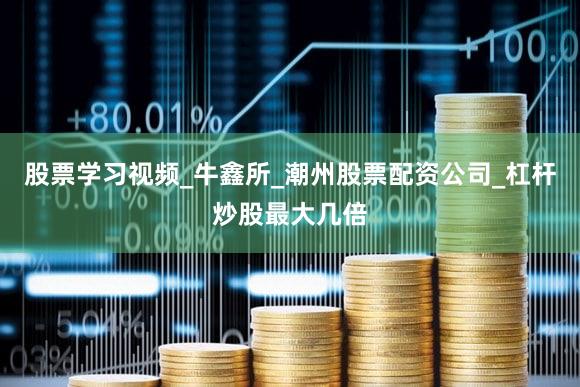 股票学习视频_牛鑫所_潮州股票配资公司_杠杆炒股最大几倍