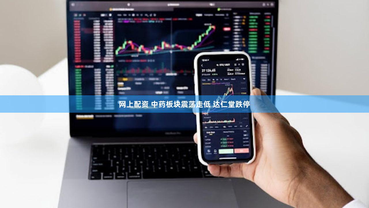网上配资 中药板块震荡走低 达仁堂跌停
