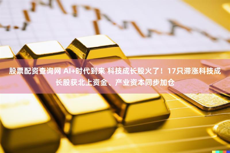 股票配资查询网 AI+时代到来 科技成长股火了！17只滞涨科技成长股获北上资金、产业资本同步加仓