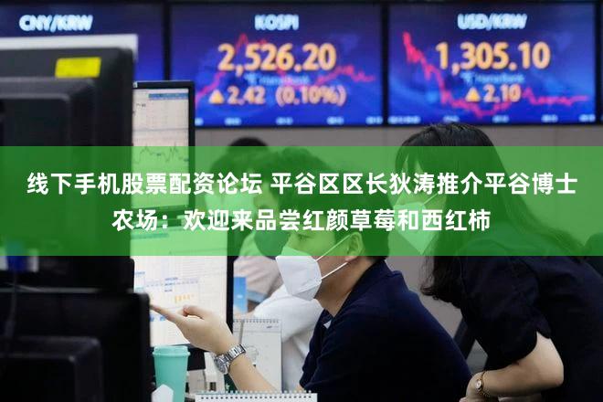 线下手机股票配资论坛 平谷区区长狄涛推介平谷博士农场：欢迎来品尝红颜草莓和西红柿
