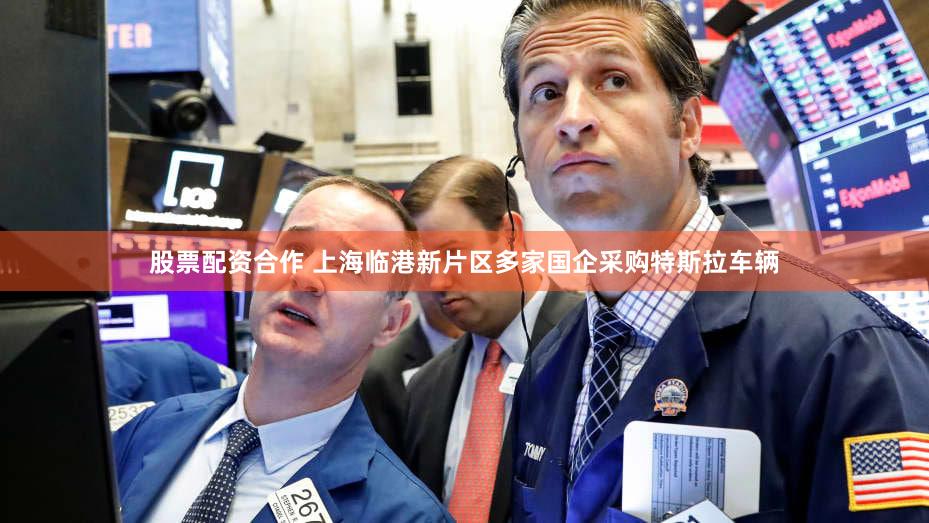 股票配资合作 上海临港新片区多家国企采购特斯拉车辆