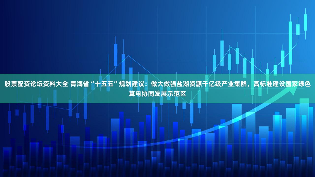 股票配资论坛资料大全 青海省“十五五”规划建议:做大做强盐湖资源千亿级产业集群,高标准建设国家绿色算电协同发展示范区