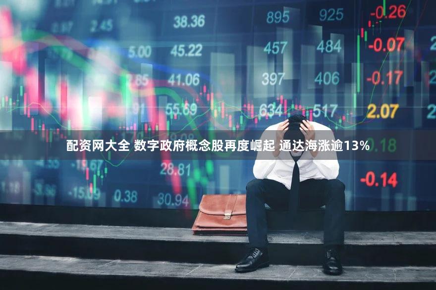 配资网大全 数字政府概念股再度崛起 通达海涨逾13%