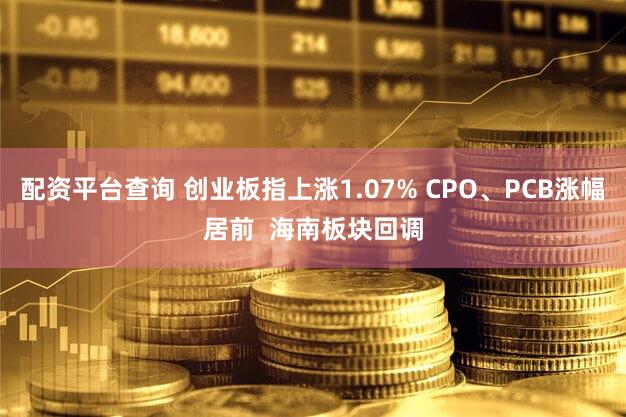 配资平台查询 创业板指上涨1.07% CPO、PCB涨幅居前  海南板块回调