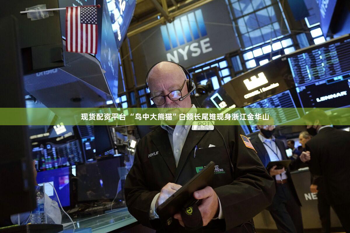 现货配资平台 “鸟中大熊猫”白颈长尾雉现身浙江金华山